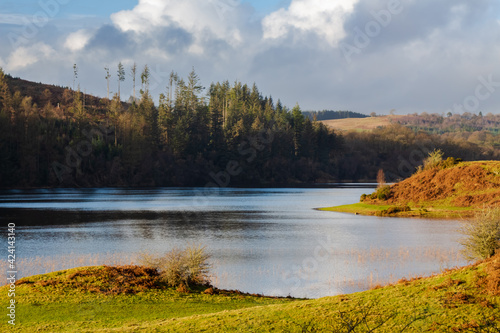 A view over Woodhall loch, on a sunny winters day, near Mossdale , Scotland