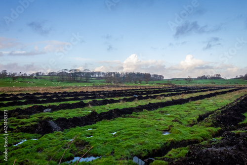Photo Freshly dug rows of field drainage ditches on a lowland agricultural field
