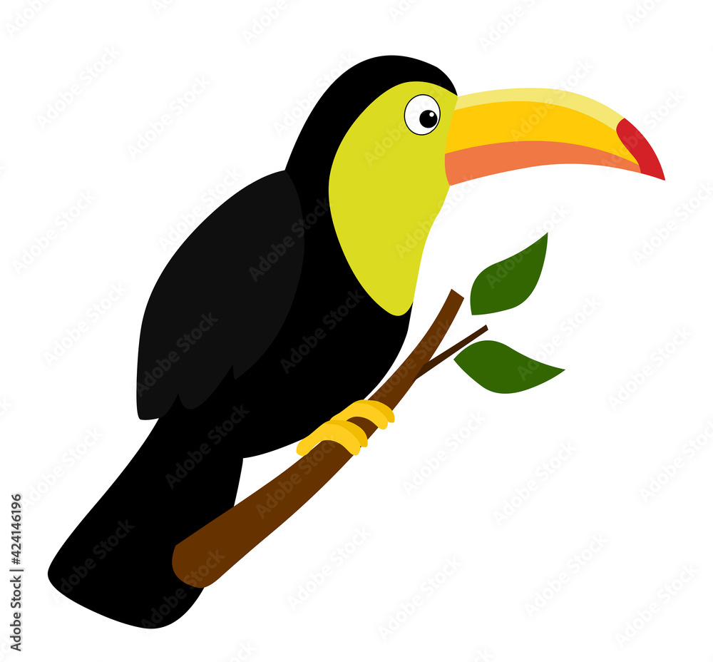 Fototapeta premium Toucan bird cartoon illustration