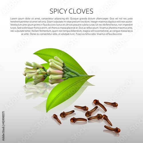Culinary spices. Spicy cloves. Abstract vector illustration of spicy cloves on a light background with reflection. A blank for creativity.