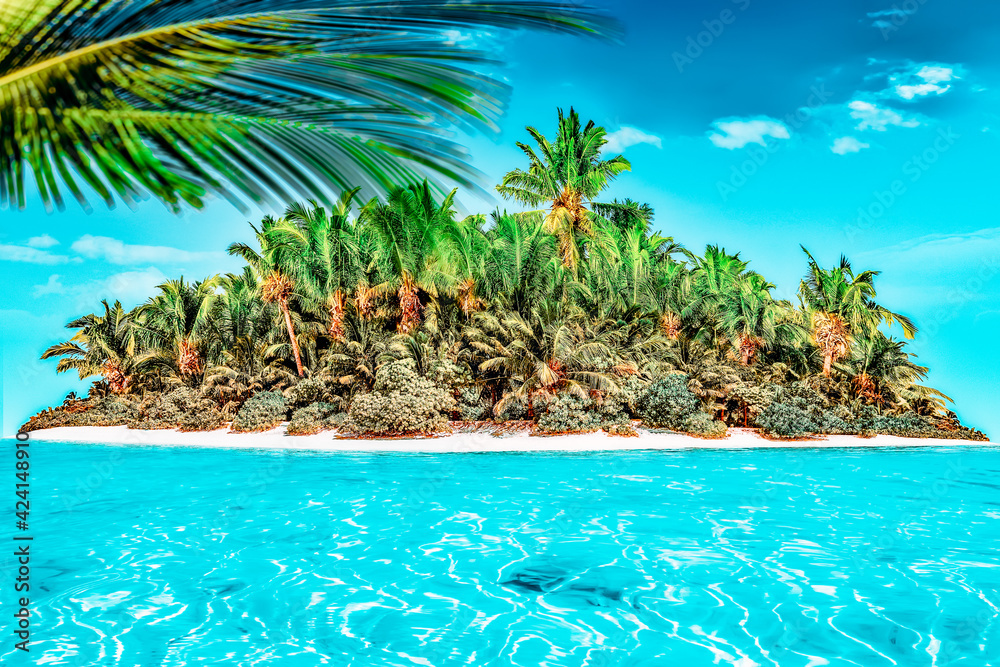 Obraz premium Whole tropical island within atoll in tropical Ocean.