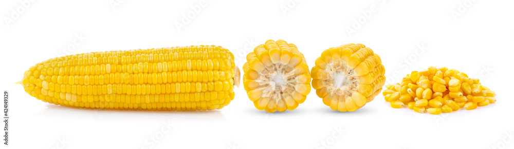 corn isolated on white corn isolated on white