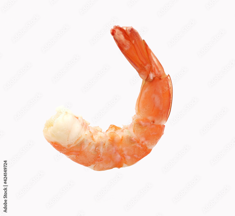 Fresh shrimp isolated on white background seafood tiger prawn Fresh shrimp isolated on white background seafood tiger prawn