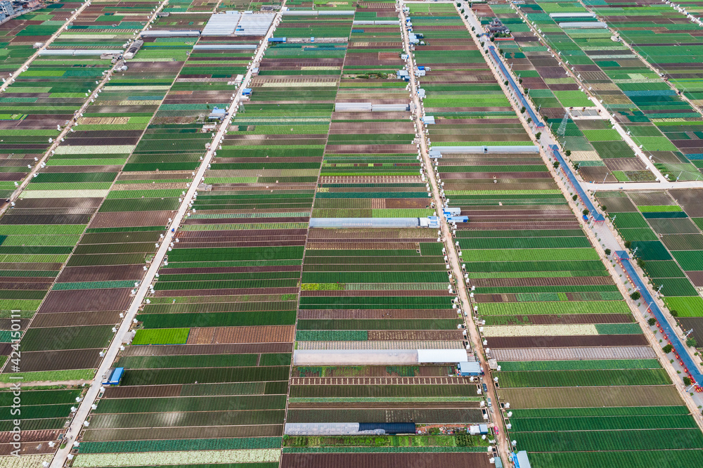 aerial view of agricultural plots of land under cultivation in Vegetable Plants near Kunming, China aerial view of agricultural plots of land under cultivation in Vegetable Plants near Kunming, China
