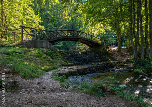 bridge in the forest © Ammar