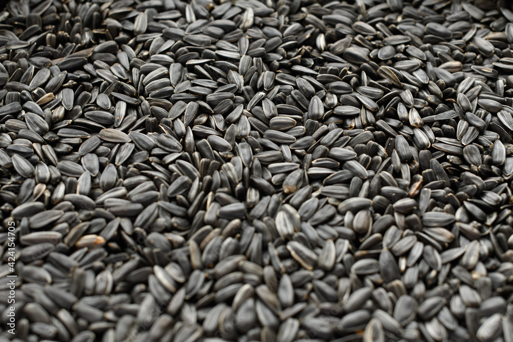 sunflower seeds background, closeup of roasted seeds