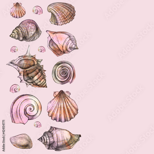 Beautiful seashells. Sea background. Hand drawing. Space for yout text.