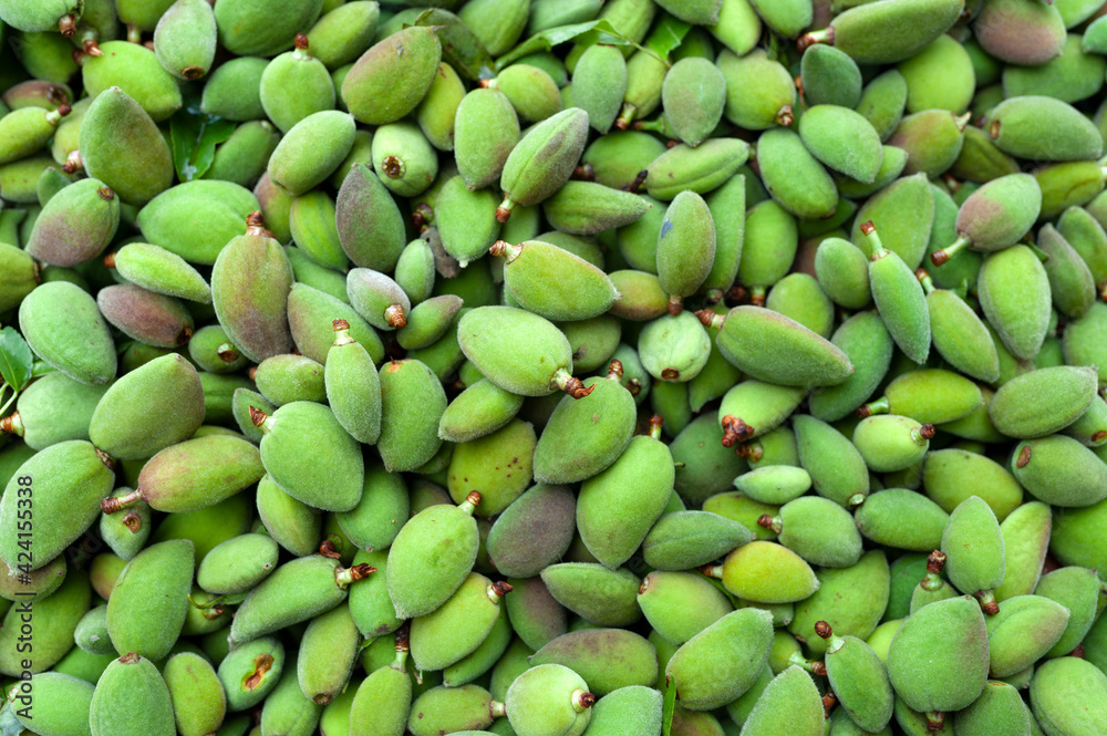 Almond, fruit, green vegetable, fruit, fresh, food