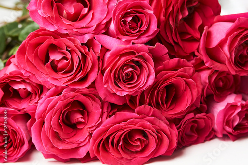 Pink roses background  close-up. Beautiful red rose bouquet