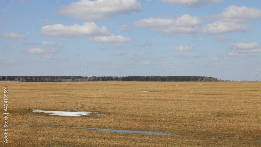 Obraz premium Beautiful vast brown ploughed field with forest on horizon against a blue sky on a Sunny spring day — land cultivation farm, agriculture, European rural life landscape 