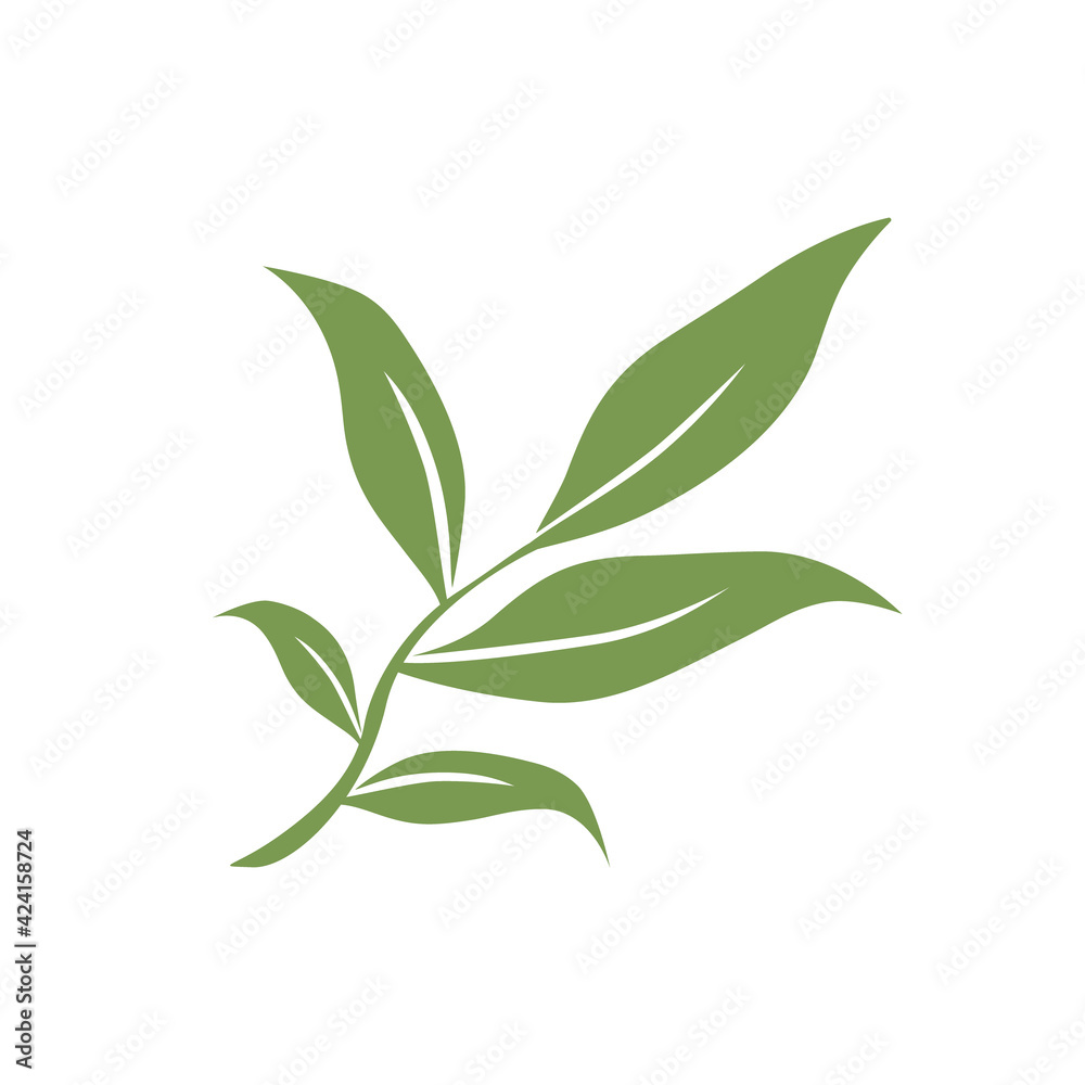 Vector illustration of a tea branch with green leaves on a white isolated background. Flat design. Icon, sign, logo, etc. For various purposes of design.