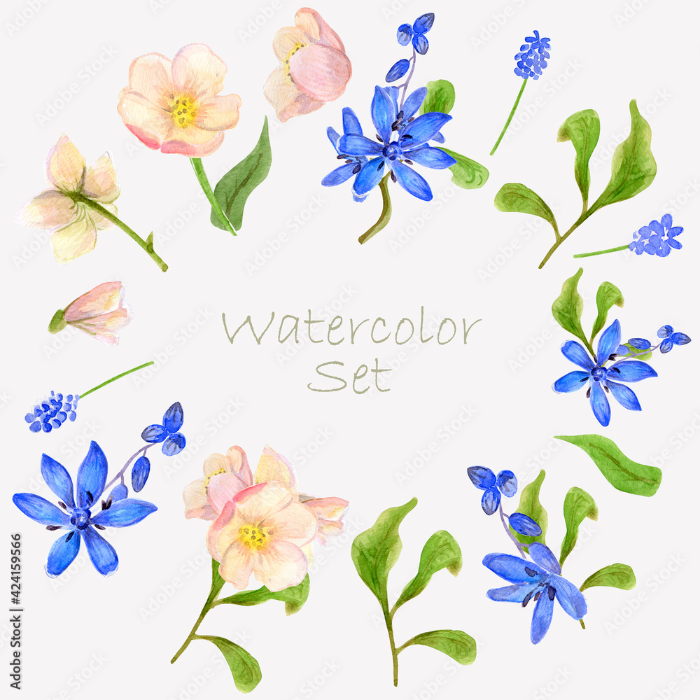 Watercolor Set of Spring Pink and Blue Flowers, plants for Print or Textile design.