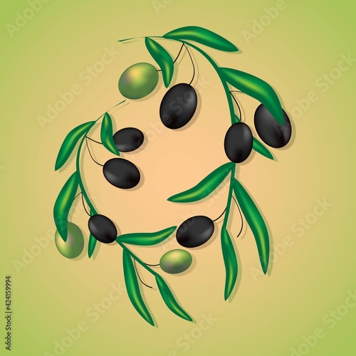 olive maslina olive oil vector illustration photo