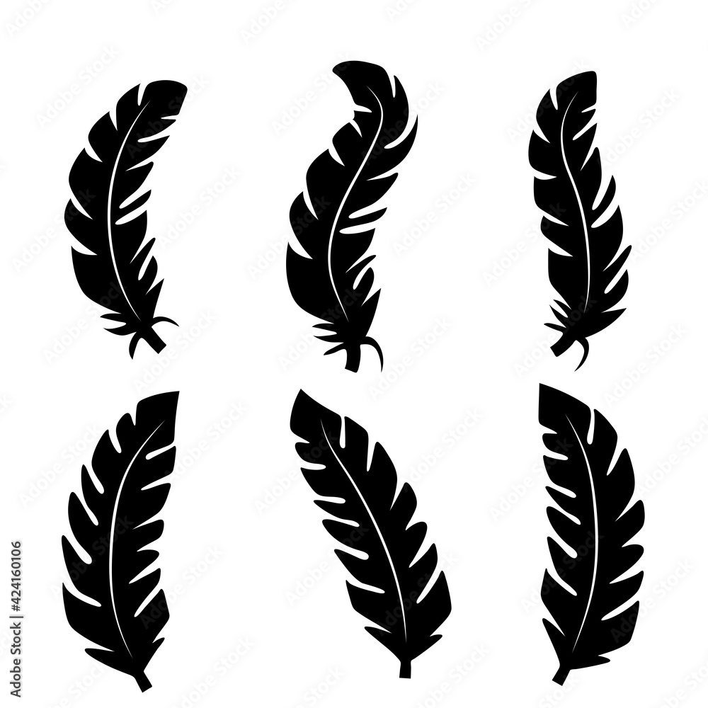 Fototapeta premium Collection of feather illustration, drawing, engraving, ink line art