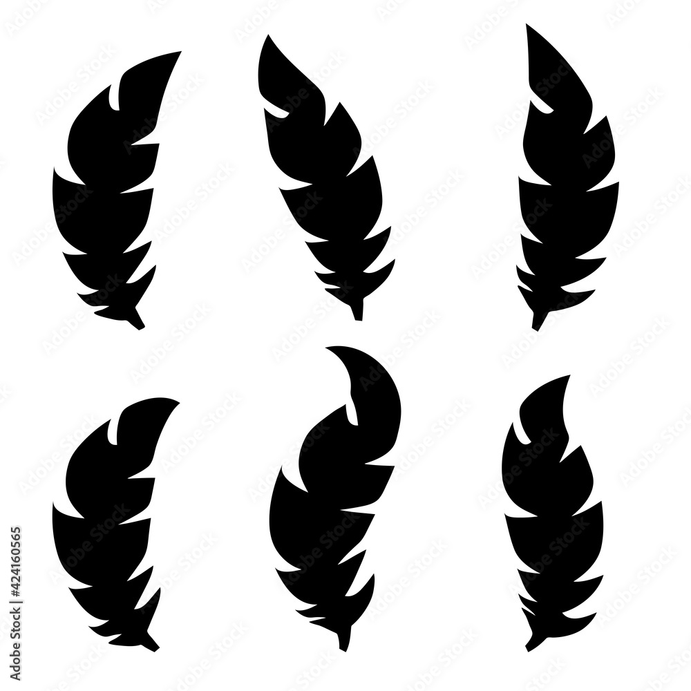 Collection of feather illustration, drawing, engraving, ink line art Collection of feather illustration, drawing, engraving, ink line art