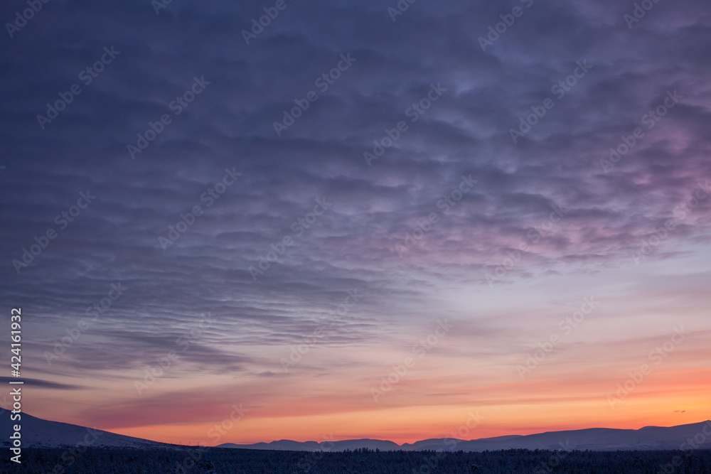 panoramic sunset with lilac and yellow colors go very well for site header. beautiful sky with cirrus clouds sunset