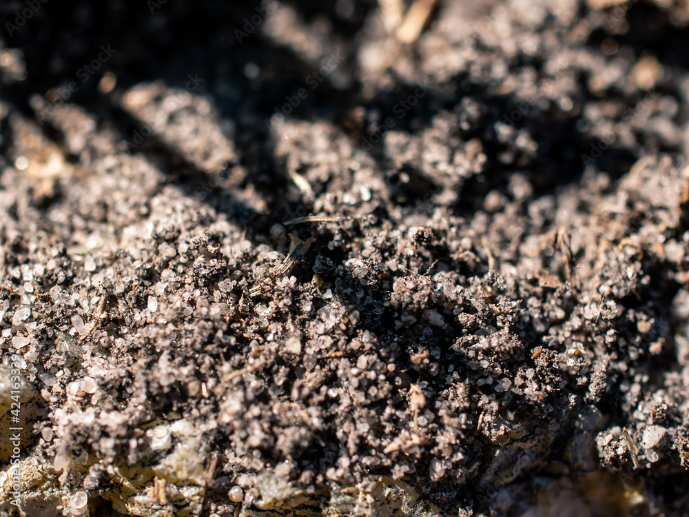 Grains of dirt Grains of dirt