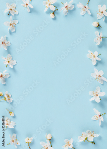White cherry blossoms frame