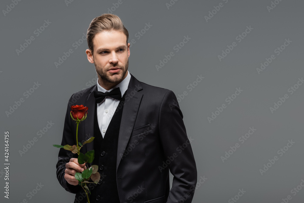 businessman in black suit looking away while standing with red rose isolated on grey businessman in black suit looking away while standing with red rose isolated on grey