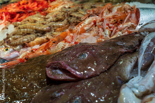 Close-up monkfish in a fish shop with prawns and langoustines on the background photo