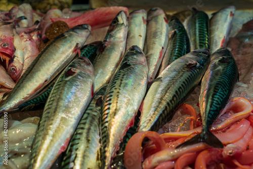 Atlantic mackerel fish on ice in a fish shop