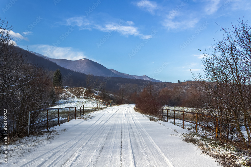 Fototapeta premium road in the mountains
