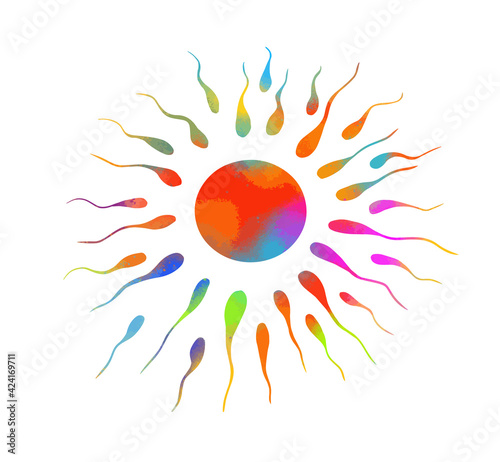 Egg and sperm. Vector illustration