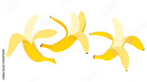 Bananas - whole banana, peeled banana, ready to eat banana. Set of fruits on white background. Modern illustration, group of object.