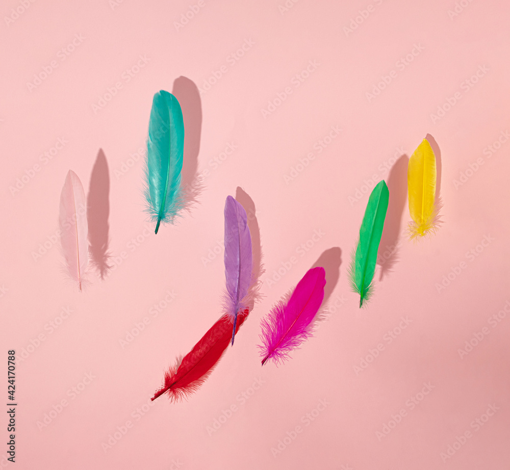 tropical pink, red, green, blue, purple and orange feathers fluing in the air on the bright pink background. creative decoration idea. abstract art tropical pink, red, green, blue, purple and orange feathers fluing in the air on the bright pink background. creative decoration idea. abstract art