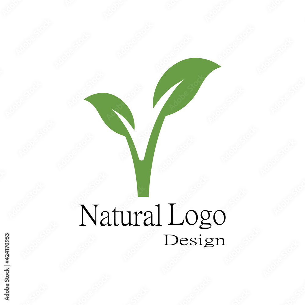 Fototapeta premium Leaf icon Vector Illustration design Logo template