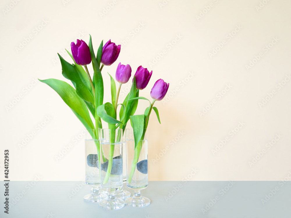 Colorful still life 5 pink purple tulips,curved green leaves,separate transparent stemmed glasses in middle of beige gray backdrop.Modern minimalistic interior poster,copy space,soft selective focus Colorful still life 5 pink purple tulips,curved green leaves,separate transparent stemmed glasses in middle of beige gray backdrop.Modern minimalistic interior poster,copy space,soft selective focus