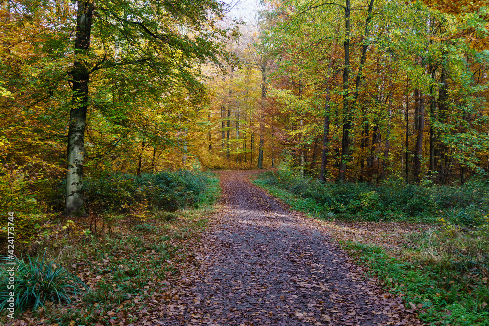 Obraz premium Auf in den Herbst
