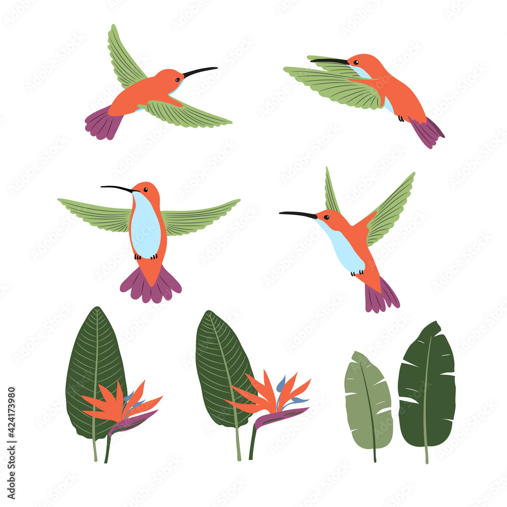 Set of cute cartoon hummingbirds and strelitzia . Vector collection of tropical birds and plants.