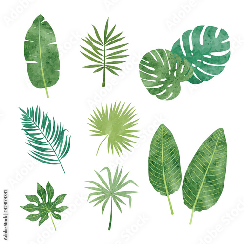 Tropic leaves set. Vector watercolor illustration of tropical plants.