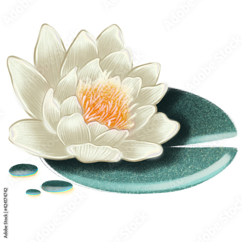  Blooming spring floral card. Lotus flowers. Meditation time. Yoga.