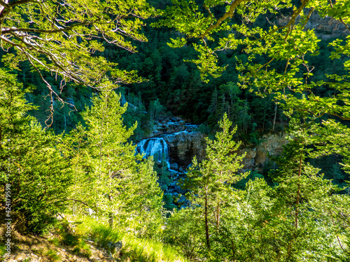 Una cascada puede entreverse entre las hojas y las ramas de las hayas y los pinos en el Parque Nacional de Ordesa, España photo