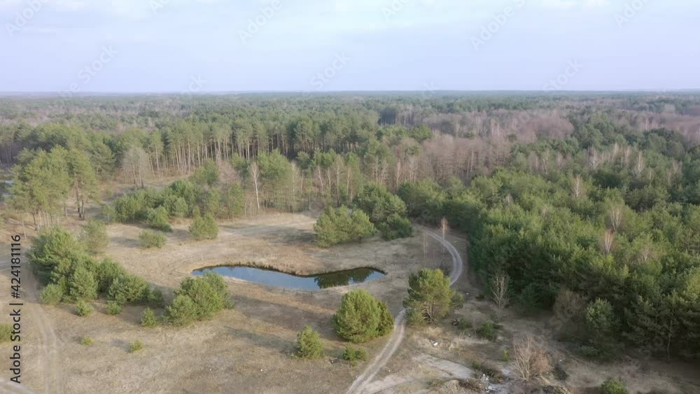 Aerial drone view of deforestation of a pine forest. Ecology concept change tree forest drought and forest refreshing. Aerial drone view of deforestation of a pine forest. Ecology concept change tree forest drought and forest refreshing.