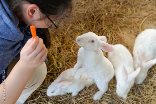 Girls feed unhealthy rabbits in the morning. photo