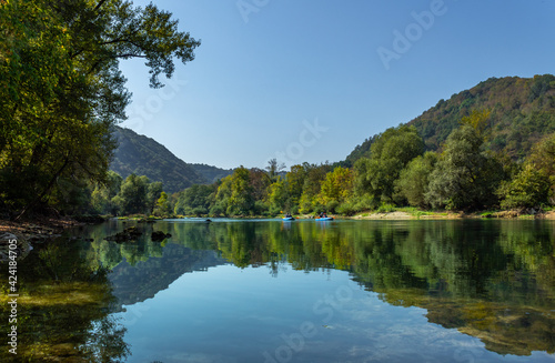 reflection of trees in river