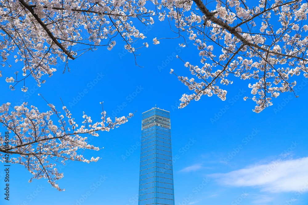 千葉県千葉市の青空風景