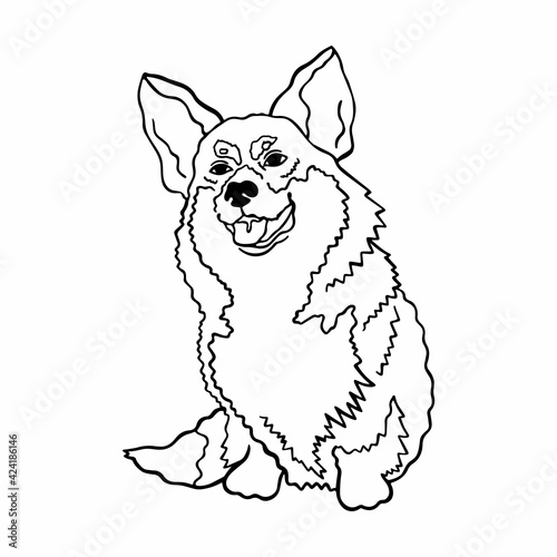Vector illustration of a dog corgi breed. A cute kind dog sits with his tongue out. Line art contour drawing, dog silhouette isolated on white background.