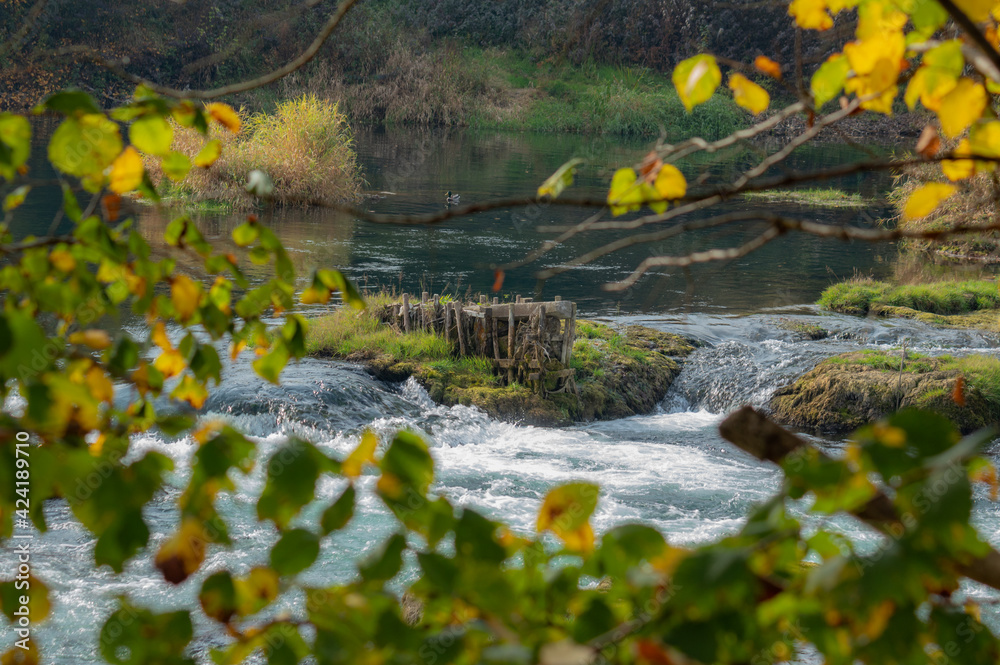 landscape by the river