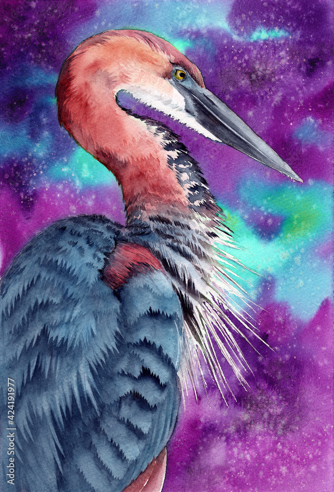 Fototapeta premium Watercolor illustration of a tricolored heron with blue and purple feathers on a dark purple background 