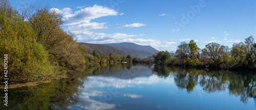 reflection of trees in the river