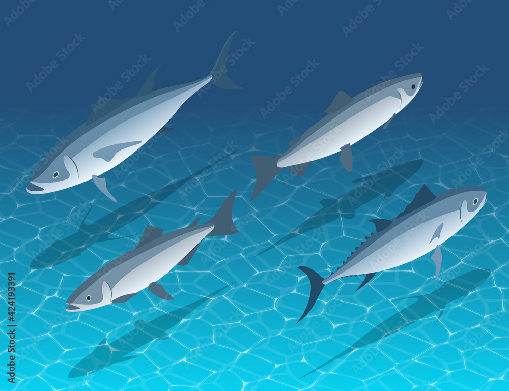 Isometric sea fish in water front and back view. Underwater schooling fish swimming in blue water Isometric sea fish in water front and back view. Underwater schooling fish swimming in blue water