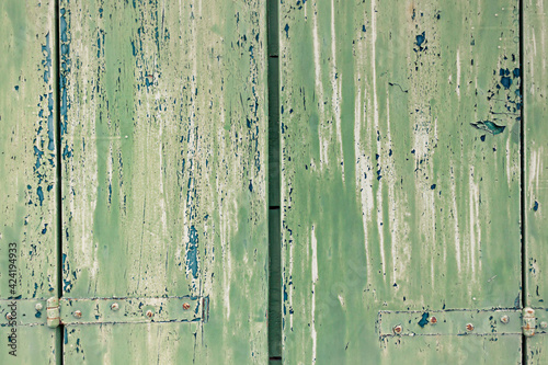 Green old wooden door texture close up. Vintage wood pattern © mariarom