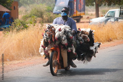 Burkina Faso Chicken ride © AWU