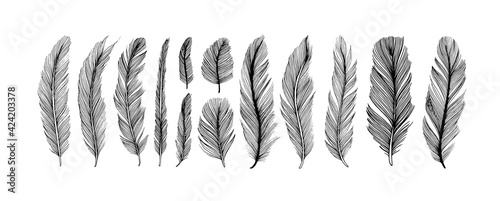 Hand drawn black fluffy feathers. Vector black and white ink sketch illustration. Ethnic boho style hand drawing. Realistic feathers collection. Elegant silhouette sketch bird plume set