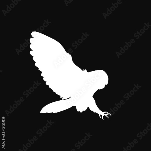 European Barn Owl (Tyto alba) in flight  vector digital drawing in white on a dark grey background 