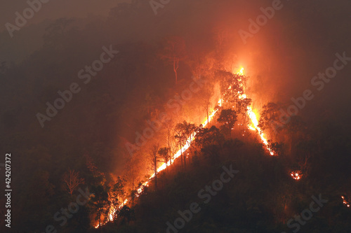 A mountain with a forest fire in Forest fires at night look sad, the cause of PM 2.5 smoke in Thailand.
